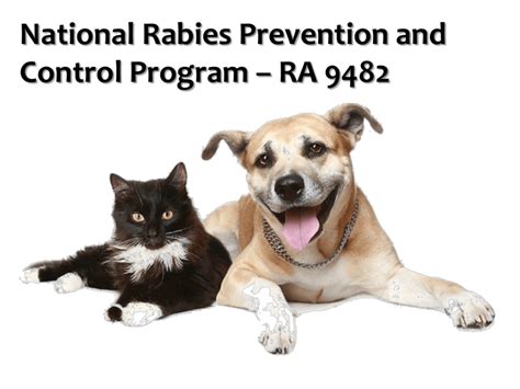 Good Practices of Rabies Prevention and Control in the .